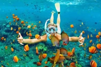 Punta Cana: Catalina Island and Snorkel For Small Group - Dominican Republic