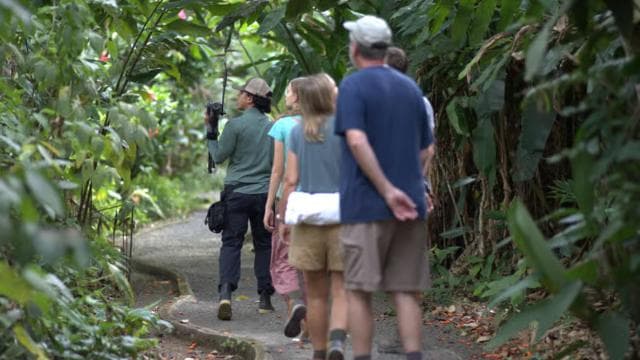 La Fortuna: Sloth & Wildlife Nature Walk