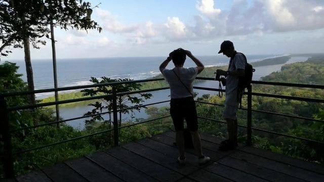 Tortuguero: Tour in the Tortuguero hill (dormant volcano) - Photo 2 (Gallery view)