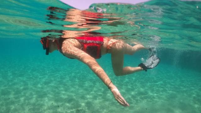 San Juan: Snorkeling with Turtles Adventure and Free Videos