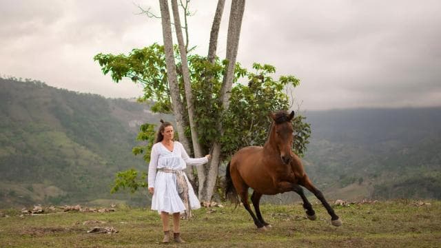 Finca Soley: Liberty Workshop and coaching with Horses