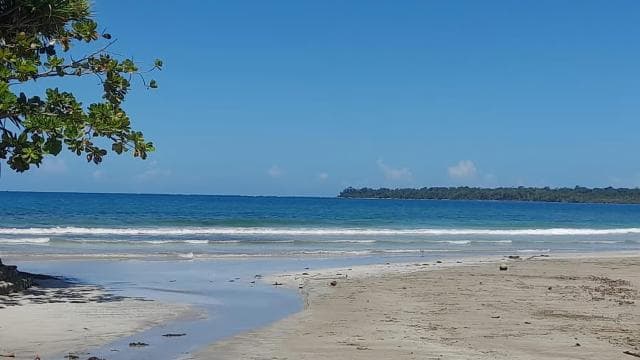 Cahuita Nemzeti Park: idegenvezetés Pabloval - Photo 3 (Gallery view)