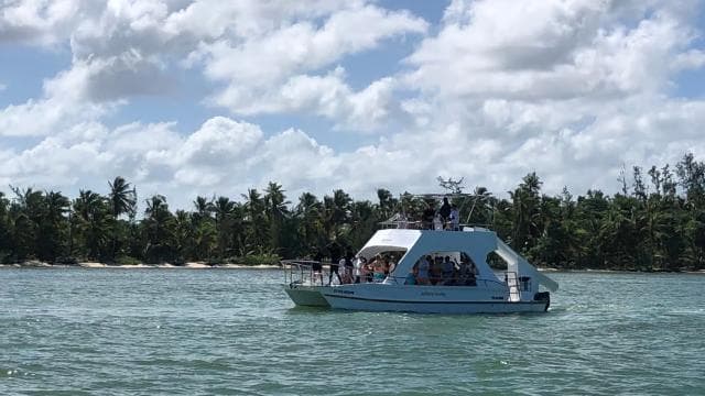 Small-Group Cruising and Snorkeling Catamaran Tour