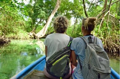 Sabana de la Mar: Los Haitises Guided Hike and Kayaking - Photo 4 (Gallery view)
