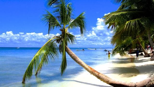 From Bayahibe: Saona Island, Open Bar, Speedboat & Lunch