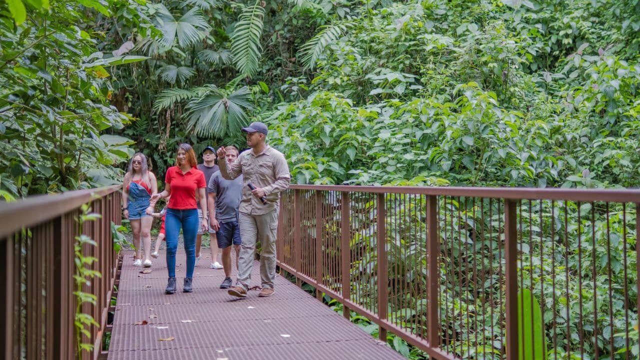 Jungle Eco Tour