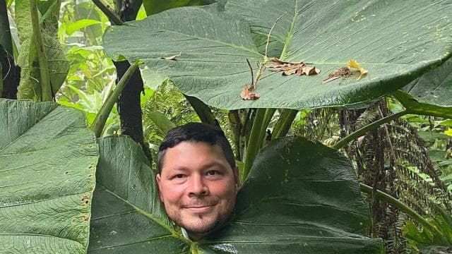 Monteverde: Cloud Forest Tour with Guide & Photos