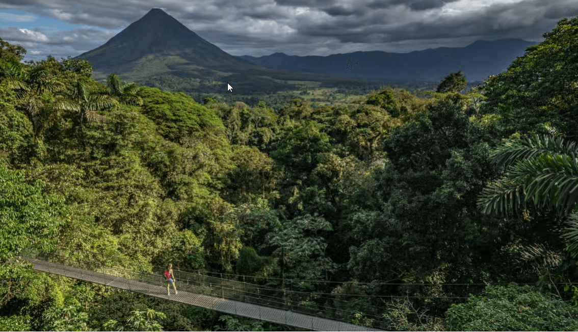 La Fortuna: Hanging Bridges, Arenal Volcano, and Falls Tour - Photo 5 (Gallery view)