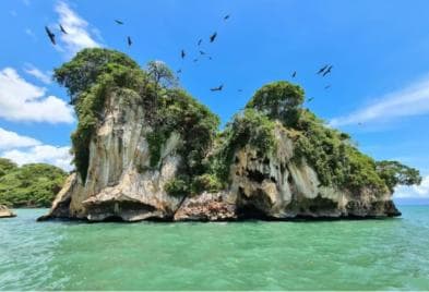 Los Haitises: Hiking and Kayaking natural pools Tour & Lunch - Dominican Republic