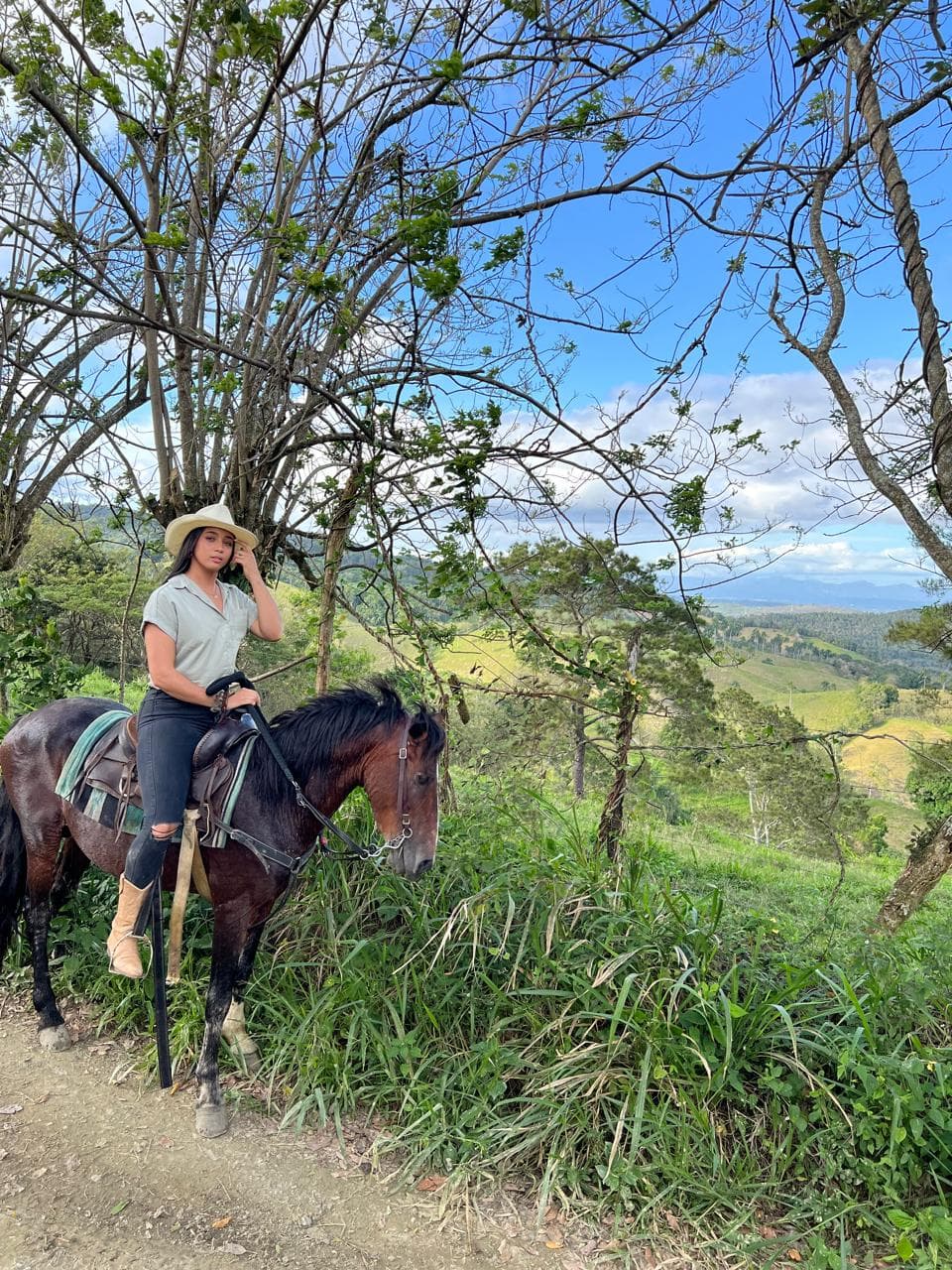 Jarabacoa: Horseride Excursion to Salto Baiguate Waterfall (Copy)