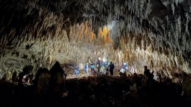 San Juan: Camuy River Canyon and Cave Tour with Pickup