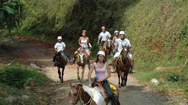 From Manuel Antonio: Horseback Riding with Lunch or Dinner