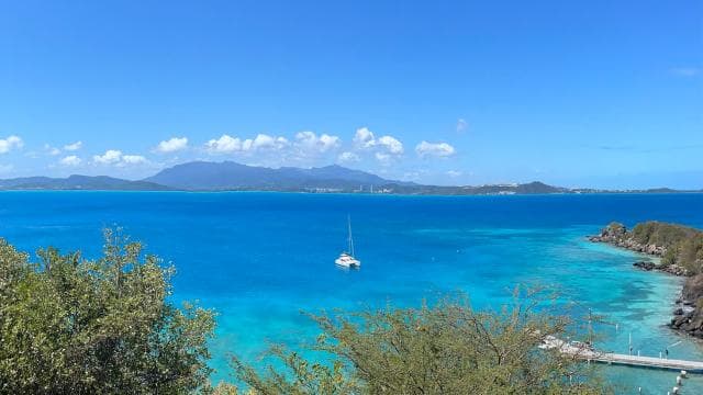 Fajardo: Catamaran Day Cruise to Palomino Island with Lunch
