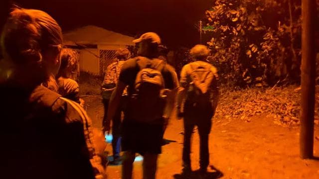 Jungle Pack x 3 Tour in the National Park - Photo 3 (Gallery view)