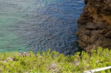 Samana Bay: Cayo Levantado Snorkeling and Kayaking Tour - Photo 5 (Gallery view)