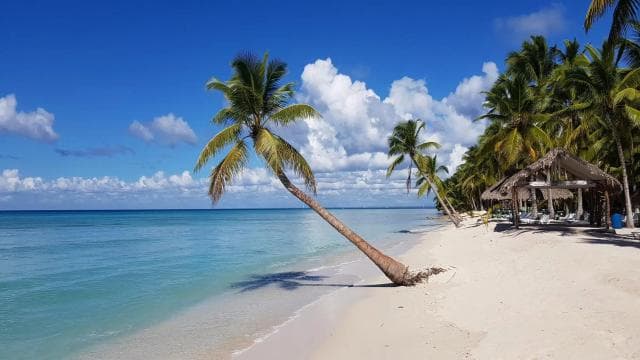 Punta Cana: Saona Island All-Inclusive Day Trip - Photo 3 (Gallery view)