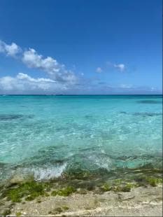 Saona Island VIP: 4 Beaches , Mano Juan & Canto de la Playa - Photo 5 (Gallery view)