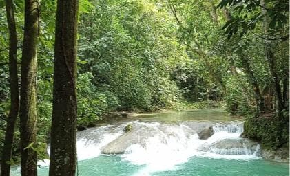 Puerto Plata: Taino Valley and Dominican Flavor Experience - Photo 5 (Gallery view)
