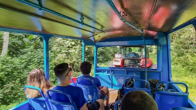 La Fortuna: 12 Canopy Zip Lines and Forest Walk Guided Trip