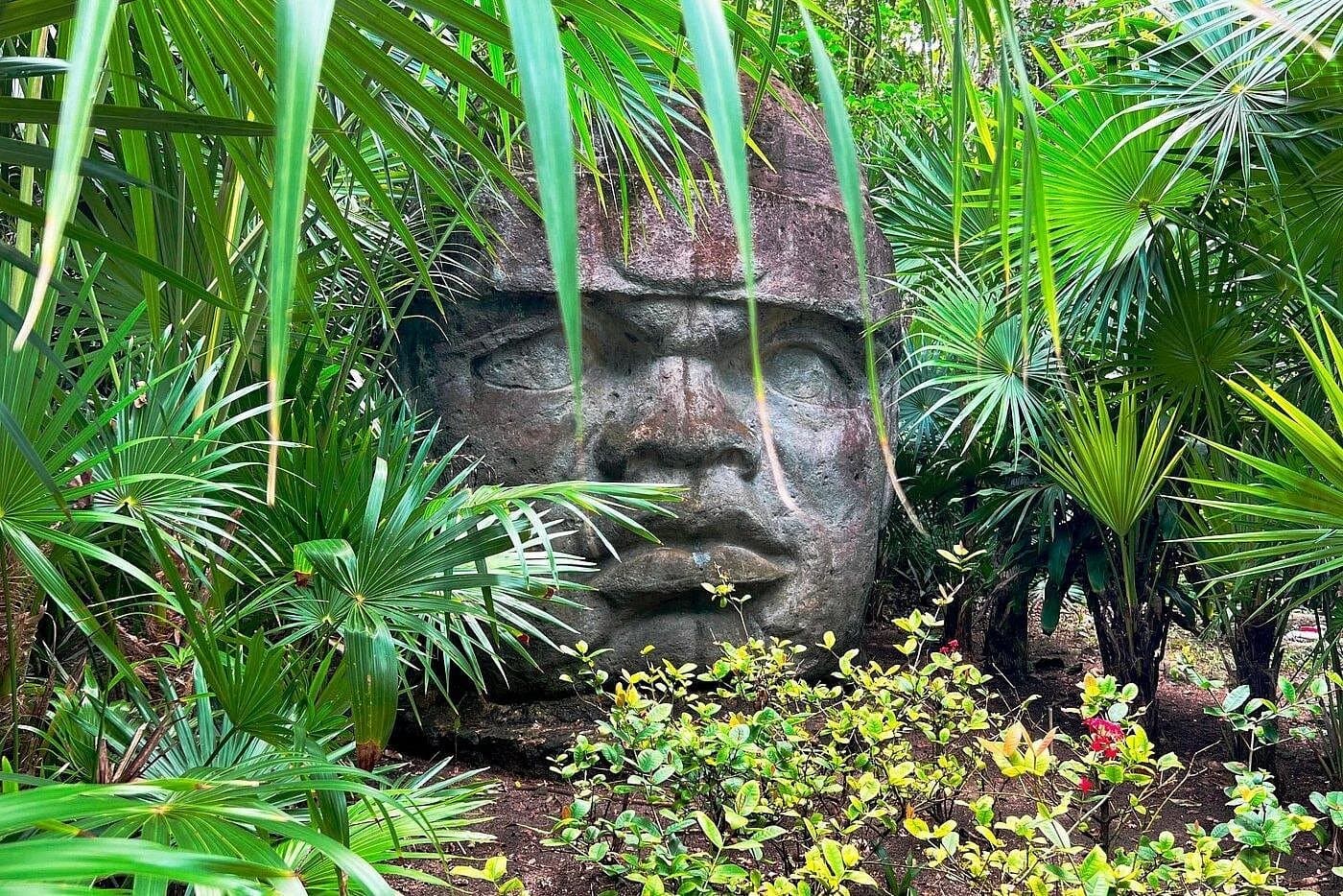 Deluxe-Tageskarte für den Chankanab Park Cozumel mit Schnorcheln - Photo 4 (Gallery view)