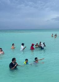 Excursión a Isla Saona desde Punta Cana (Todo incluido). - Photo 5 (Gallery view)