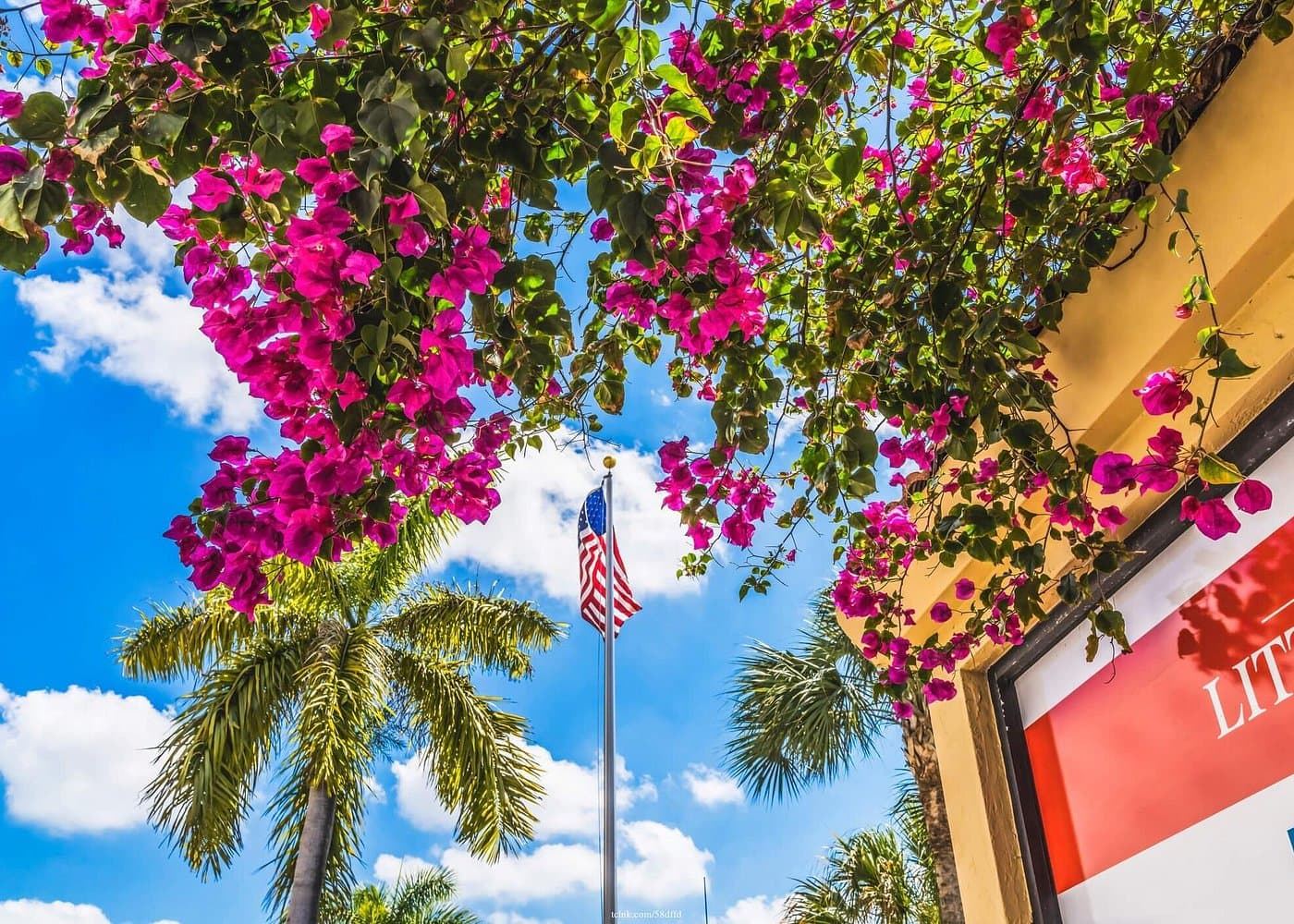 Miami: Discover Little Havana Flavors with a Private Food Tour