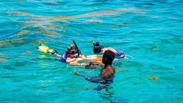 Power Cruise Tour with Snorkeling
