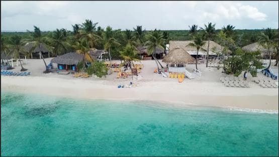 Punta Cana: Catalina Island Snorkeling and lunch Day Trip - Photo 5 (Gallery view)