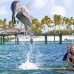 Punta Cana: Dolphin Experience in the Sea