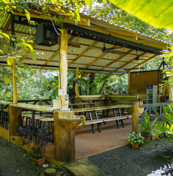 La Fortuna: Sloth Tour in Arenal Volcano Park & Local Snack - Dominican Republic