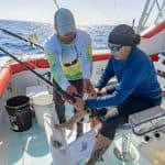 From Punta Cana: Deep Sea Fishing Tour by Boat with Drinks