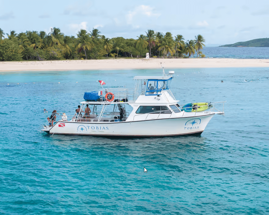 Icacos Island: Swim, Snorkel & Relax - Inclusive Boat Trip - Dominican Republic