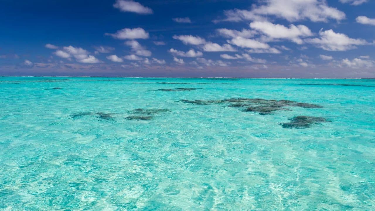 Punta Cana: Saona Island & Catamaran Party (Full Day)
