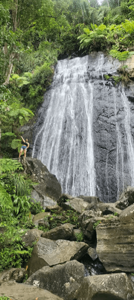 From San Juan: El Yunque Rainforest & Luquillo Beach Tour - Photo 5 (Gallery view)