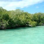 Saona Island: Small Group Virgin Beaches Cruise Day Trip