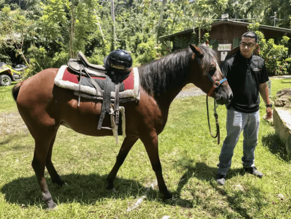 Carabalí Rainforest Park: Rainforest Horseback Riding Tour - Dominican Republic