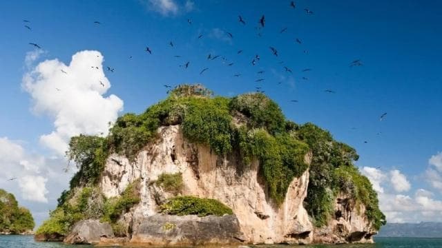 From Samana: Los Haitises Boat and Walking Tour with Lunch