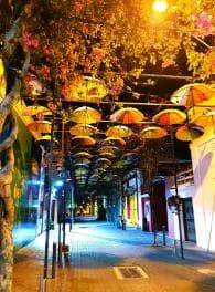 Experience the Nightlife: Puerto Plata + Sosua + Cabarete