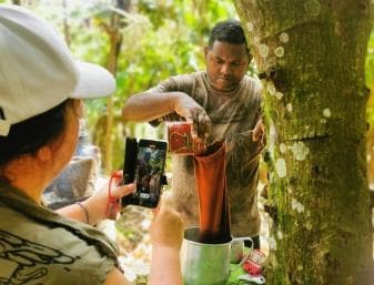 Private Damajagua Waterfalls Canyoning + Cocoa & Coffee Tour