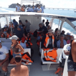 From Punta Cana: Samana Cayo Levantado Whales