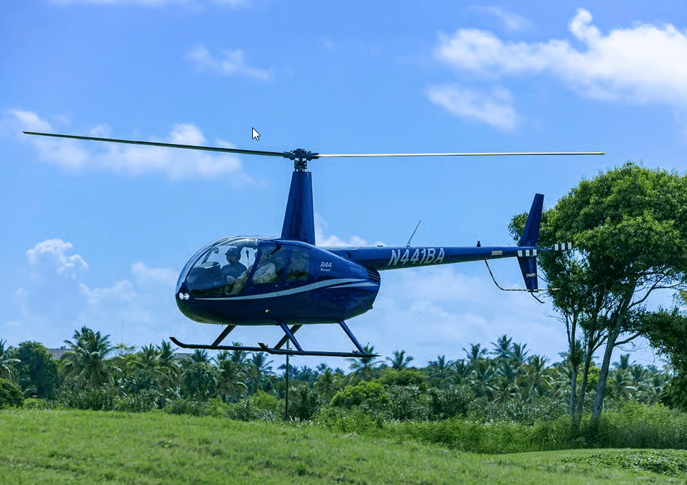 TOUR EN HELICOPTERO - Photo 2 (Gallery view)