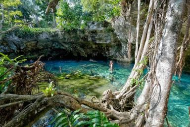 Private: Bayahibe: Jungle Walk and Cenote Snorkeling Tour