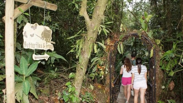 San Jose: San Luis Rainforest and Zipline Tour with Lunch