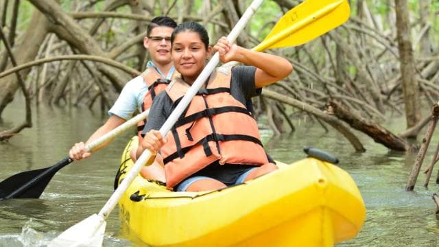 Quepos: Mangrove Kayaking Tour