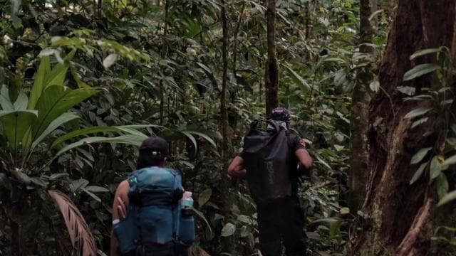 Overnight Sirena & San Pedrillo, Corcovado National Park