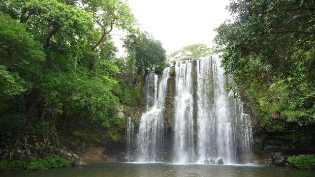 Guanacaste: Sloth Sanctuary and Waterfall Adventure - Photo 3 (Gallery view)