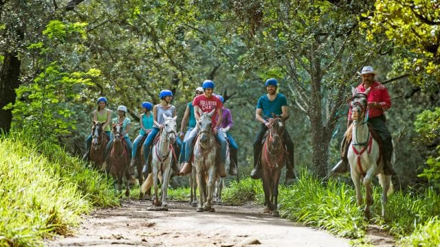 Horseback Riding Tour to the Oropéndola Waterfall