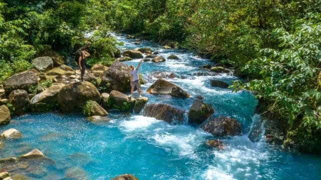 Ticket to Rio Celeste Waterfall & Tenorio National Park