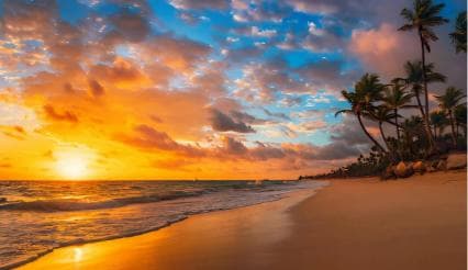 Punta Cana: Sunset Horseback Ride in Macao Beach and Forest