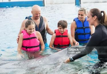 Punta Cana: Dolphin Explorer Park Entry, Swim, or Encounter